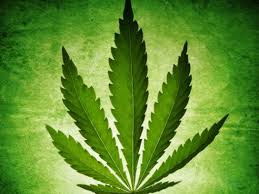 Resultado de imagen de Legalization