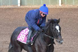 News source: NTTドコモ