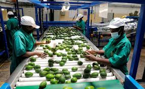 China’s Expanding Influence in Africa: Beyond Economics