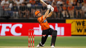 Aaron Hardie: 'Pride myself on being able to play any role in the top seven'