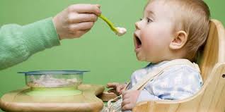 Image result for makanan bayi