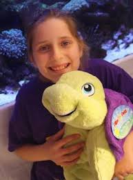 Toys R Us will have Sandy the Sea Turtle available from October 29 for $19.95 with $5 from the sale of each Pillow Pet going to the Starlight Foundation. - sandy