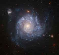 Image result for m101
