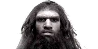 Image result for neanderthal pictures