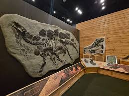 Discover the Tiny Fossils of Ogden's Dinosaur Park