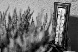 Winter loosens grip as Gauteng heads for a week of much warmer temperatures