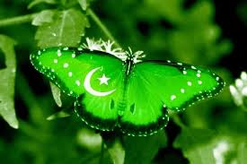 Image result for pakistan