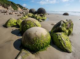New Zealand's Moeraki Boulders