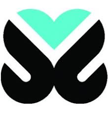 Bildergebnis für ss logo