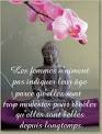 Belle citation sur les femmes