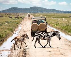 Image de Safari in Serengeti National Park, Tanzania