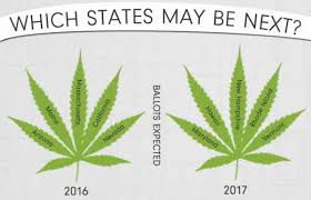 Resultado de imagen de Legalization