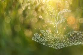 Conservation District Earth Day celebrations offer free seedlings, presentations