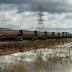 Denial a real obstacle to creating cleaner future