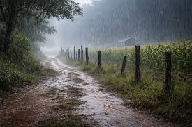 Canal Rural