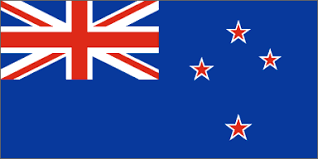 Image result for kiwiana