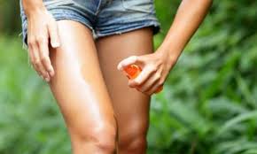 SİVRİSİNEK ile ilgili görsel sonucu