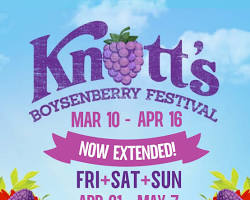 Image of Knott's Boysenberry Festival