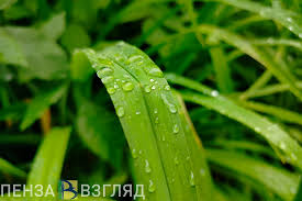 Пенза-Взгляд: новости Пензы и области сегодня - News update