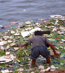 Image result for organisms and their environment