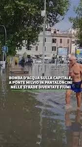 ANSA