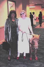 Image result for minature horse shoes