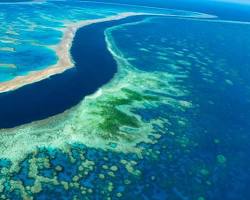 Hình ảnh về Rạn san hô Great Barrier