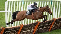 'He's in great order' - Bob Olinger back to try to repeat his victory of last year under new pilot Darragh O'Keeffe