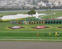 Image of Golden Gate Fields, California