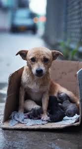 u1alm0xnx8 (@u1alm0xnx8) | TikTok