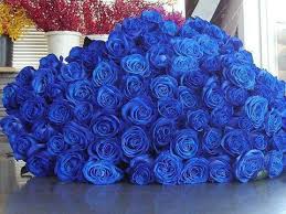 Image result for karangan bunga mawar biru
