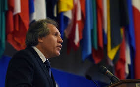 Resultado de imagen para oea+luis almagro