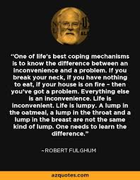 Robert Fulghum quote: One of life&#39;s best coping mechanisms is to ... via Relatably.com