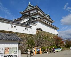 和歌山城の画像