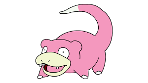 images?q=tbn:ANd9GcQoDM0Az6fsFwdlOna4qi3yUScZGYojNrsq1yw2KIw0C-MfSnkFKg