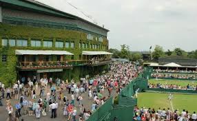 Wimbledon 2026 Draw Analysis: Everything You Need to Know