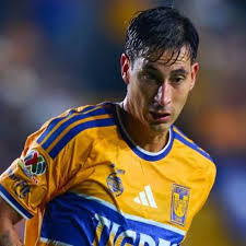 Liga MX: Exfigura del América enfrenta deuda alimentaria millonaria tras llegar a Tigres
