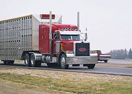Red Semi-Tractor and Livestock Trailer with a DOT number, USDOT number, US DOT number