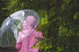 Sıcak hava yerini gök gürültülü sağanağa bırakıyor: Meteoroloji yağış beklenen illeri açıkladı — Evrensel.net