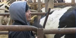 Potential New Farm Worker Program and Immigration Enforcement Updates