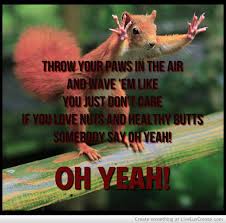 Image result for Animal Meme