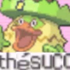 Image result for succ