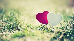 Résultat de recherche d'images pour "love"