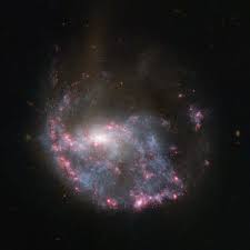 Image result for cartwheel galaxy