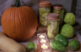 Image result for hedge apples