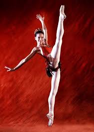 Image result for diana vishneva