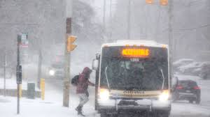 Police advise against travelling as part of Newfoundland face stormy weather