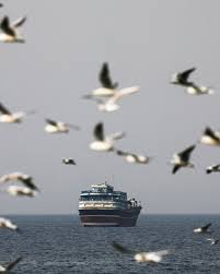 Iran conflict disrupts global shipping as tankers are stranded, damaged