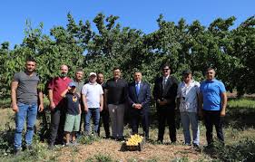 İhlas Haber Ajansı - News update