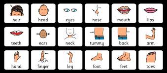 Image result for ‫آموزش تصویری زبان انگلیسی‬‎